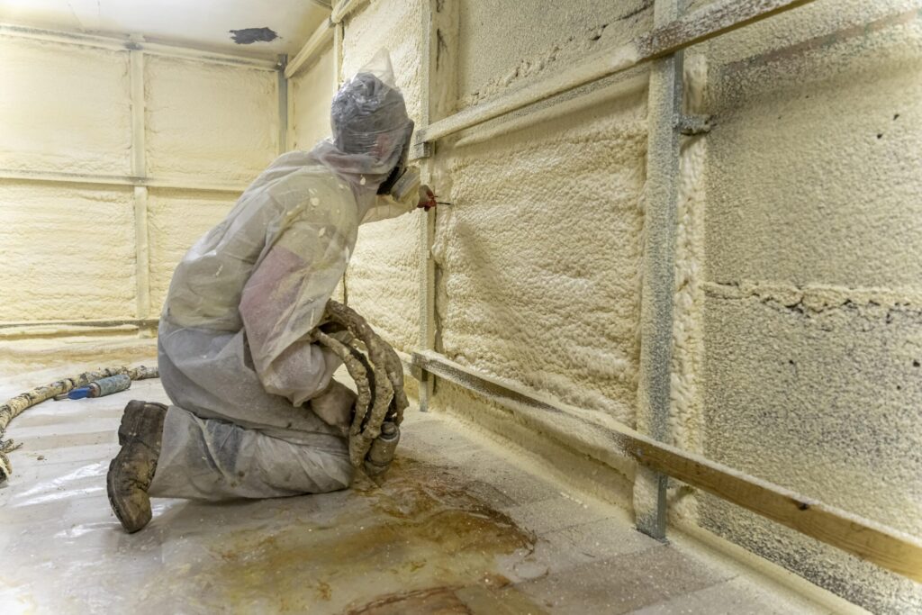 Mould inspection melbourne