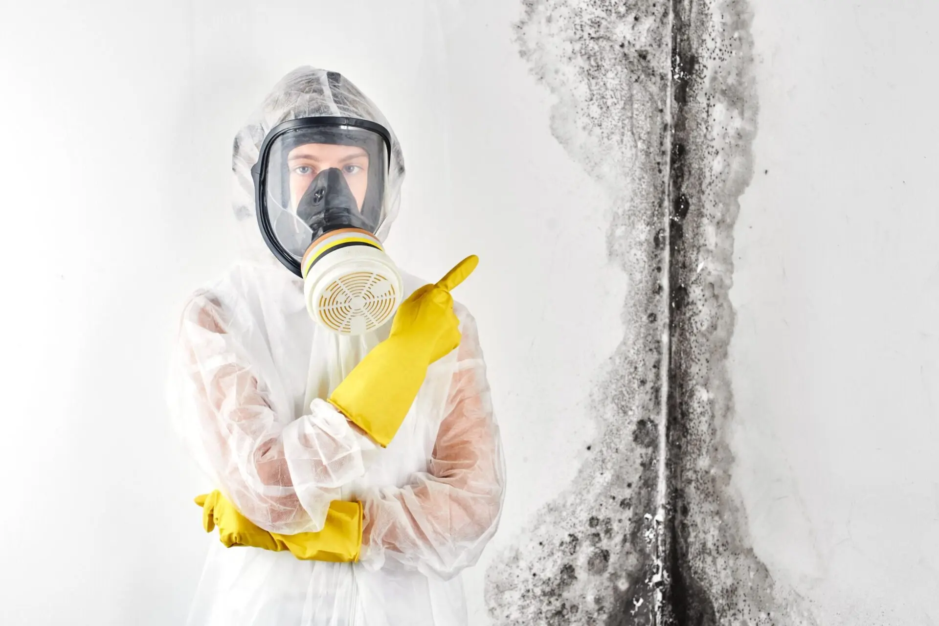  melbourne mould removal 