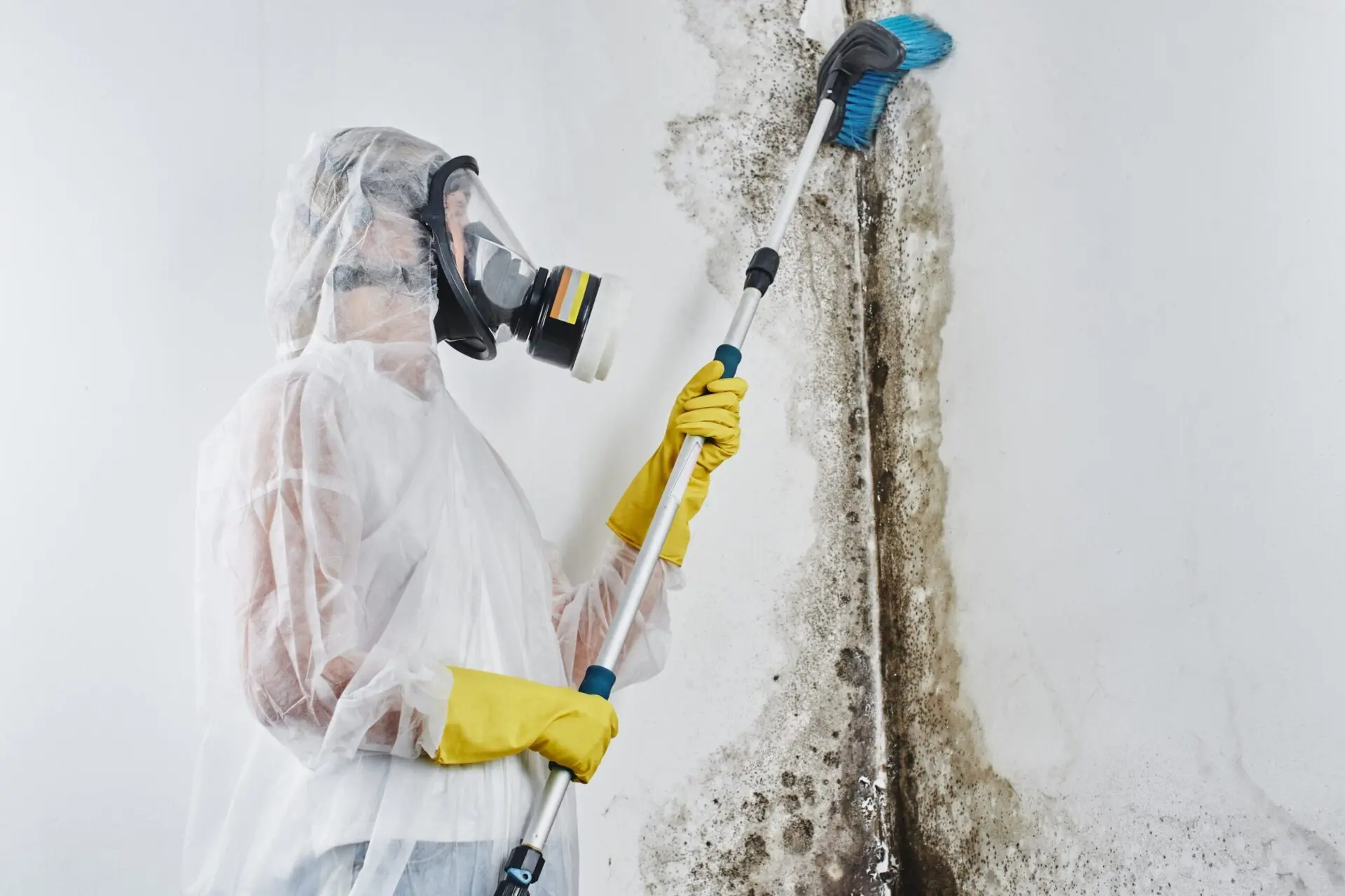  Mould inspection deal Melbourne
